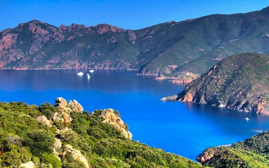 From Porto: Piana Creeks and Scandola Semi-Rigid Boat Tour - Piana creeks: close-up caves, sea-bank views, and a chance to cool off
