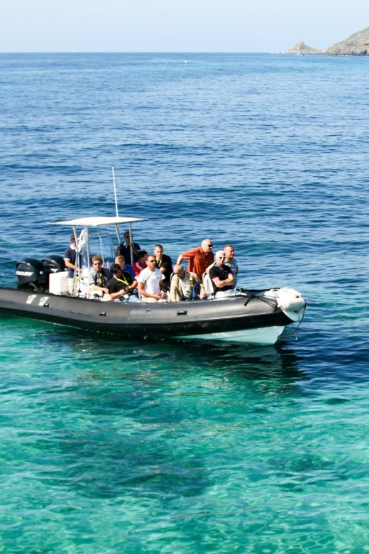 From Porto: Scandola and Calanche de Piana Boat Tour - Key things I’d focus on