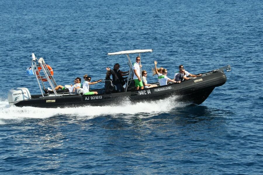 From Porto: Scandola and Calanche de Piana Boat Tour - Scandola Nature Reserve by Boat, and What the Guide Turns Into Learning