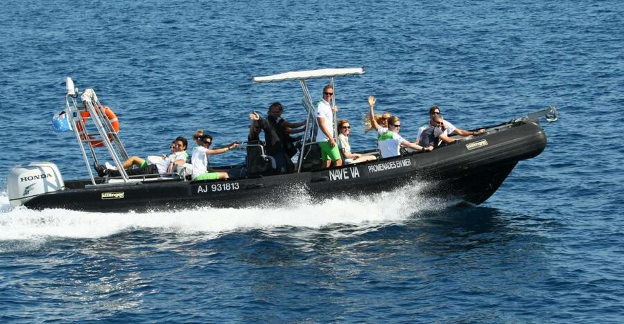 From Porto: Scandola and Calanche de Piana Boat Tour - Wildlife Spotting Tips That Keep You Present (Not Stressed)