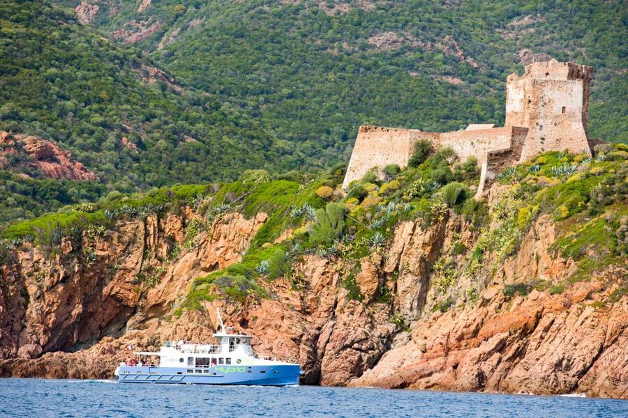 From Porto: Scandola & Girolata Tour by Boat - Key highlights to look for