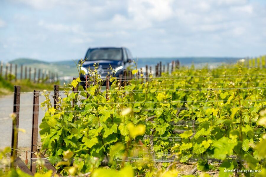 From Reims: Champagne and Family-Run Wineries Tour - Key things that make this tour worth your time