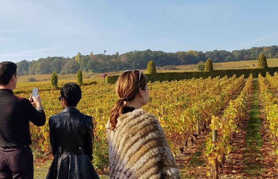 From Reims: Champagne Day Trip to 3 Family Domains & Lunch - Three family estates and 9 glasses: the real heart of the tour