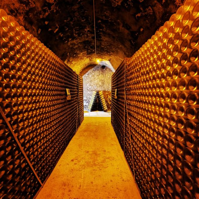 From Reims: Day Trip to Veuve Clicquot Family Grower & Lunch - The Family Grower Estate: Where Champagne Feels Human