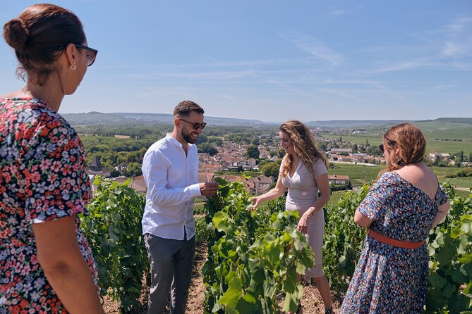 From Reims morning Champagne family growers - Montagne de Reims vineyard stop: the quick outdoor reset