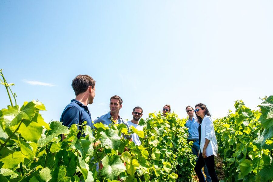 From Reims: Morning Champagne Tour and Tastings - Méthode Champenoise, Made Understandable in the Cuverie