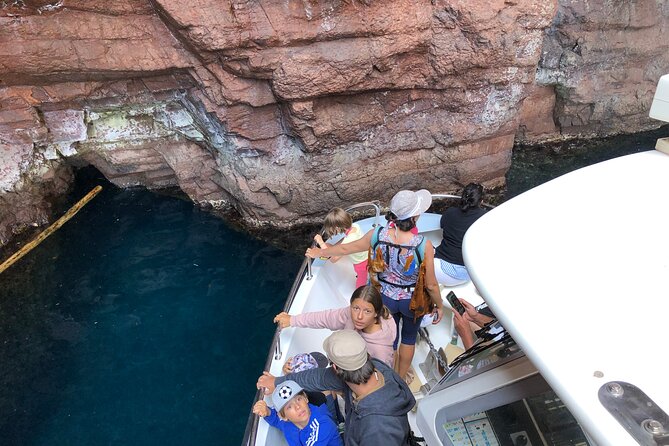 From Sagone/Cargèse: Scandola Calanques Piana Girolata Swimming - Boat reality check: seating, smell, and how to get the best views