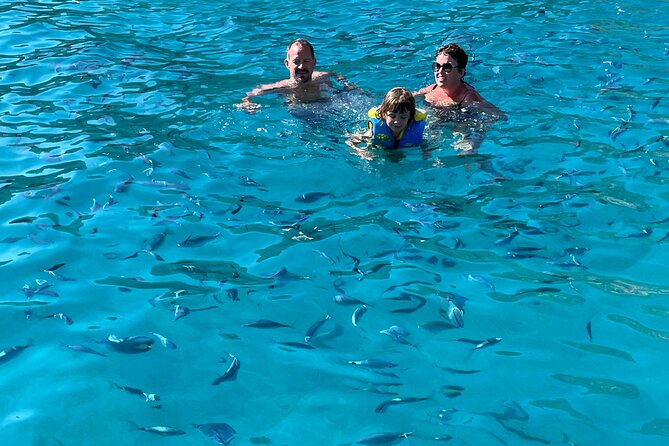 From Sagone/Cargèse: Scandola Girolata Calanques Piana Snorkeling - Capo Rosso: Natural Arch, Caves, and a Swim with Provided Masks