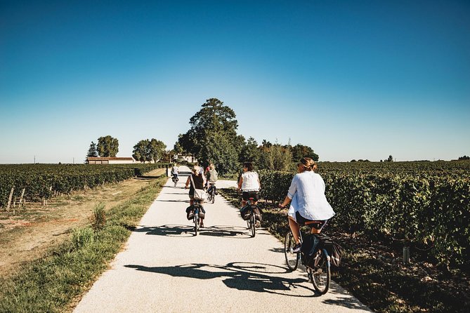 From Saint-Emilion : Electric Bike Day Tour with Wine Tastings and Picnic Lunch - Key highlights to look for