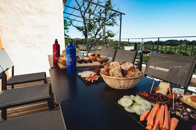 From Saint-Emilion : Electric Bike Day Tour with Wine Tastings and Picnic Lunch - Riding Saint-Emilion vineyards without the hill pain