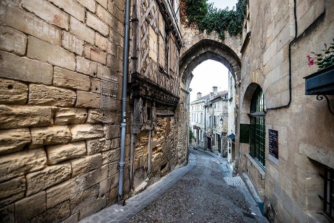 From Saint-Emilion : Electric Bike Day Tour with Wine Tastings and Picnic Lunch - How much wine is actually part of this plan