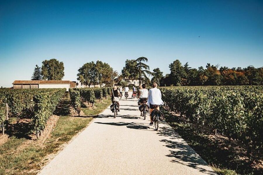From Saint-Emilion : Half Day Electric Bike Tour - Vineyards, but with less effort: why this tour works