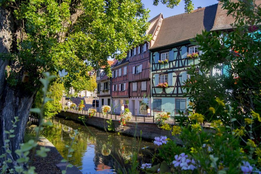 From Strasbourg: Best Of Alsace Historical Day Trip - A no-car way to see the best of Alsace, fast