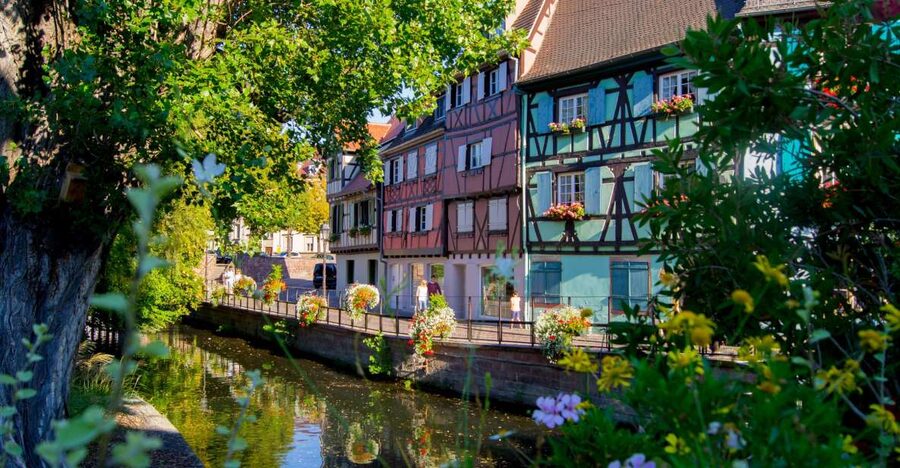 From Strasbourg: Best Of Alsace Historical Day Trip - Haut-Koenigsbourg Castle: the views justify the climb