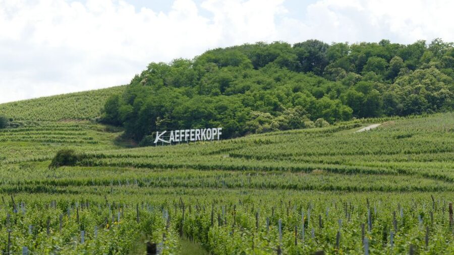 From Strasbourg: Best Of Alsace Historical Day Trip - Meeting in Strasbourg and what the drive actually feels like