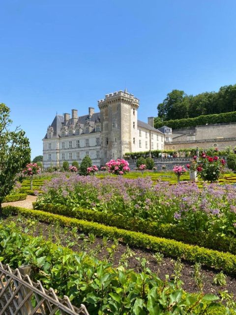 From Tours: Afternoon Loire Valley Wine Tour - Amboise photo stop plus a second tasting across wine styles