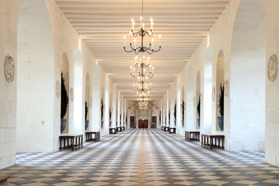 From Tours: Chenonceau and Chambord Castles Guided Tour - Who should book this château pair tour