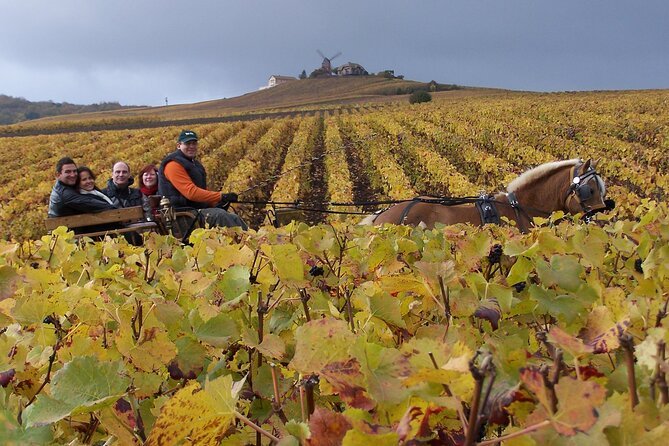 Full Day All-inclusive Tour in Champagne from Paris in a Minivan - Key highlights worth your attention