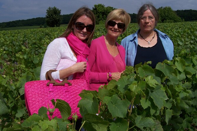 Full Day All-inclusive Tour in Champagne from Paris in a Minivan - Who should book this Champagne day trip
