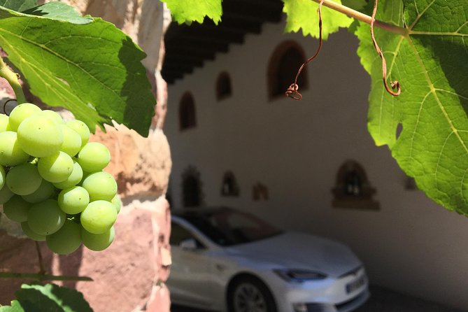 FULL DAY ALSACE PRIVATE TOUR : Tailored by your Friendly Driver - Stop 3, Eguisheim, and the flexibility to tailor the day