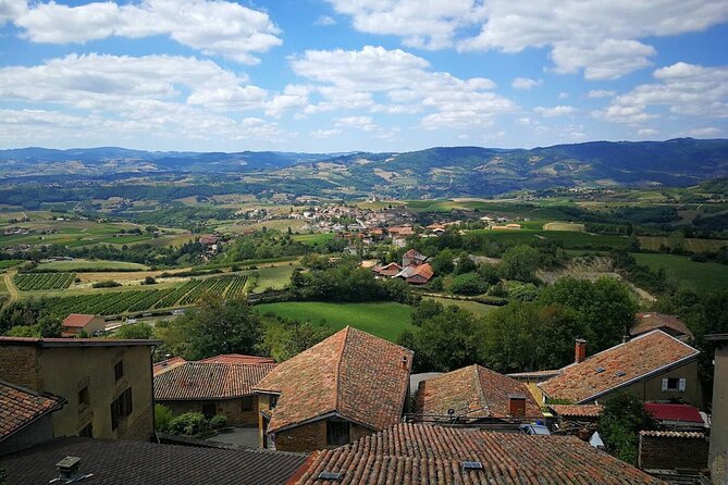 Full-Day Beaujolais Wine Tour - Picnic Lunch Included - Key highlights worth your time