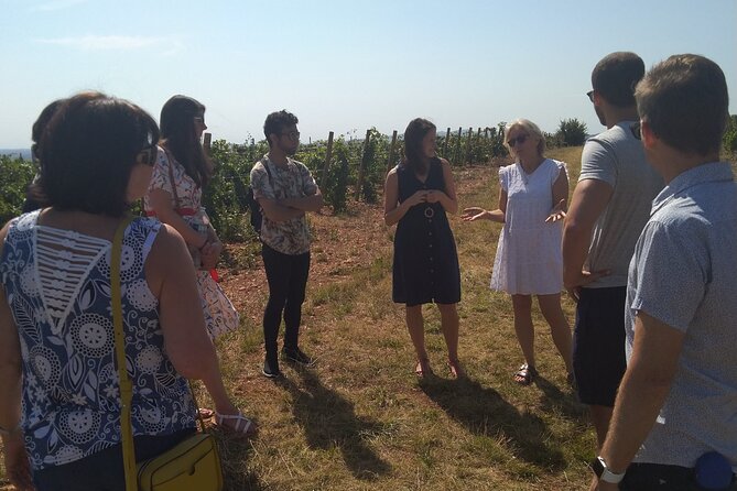Full-Day Beaujolais Wine Tour - Picnic Lunch Included - Denice picnic lunch: the meal becomes the memory