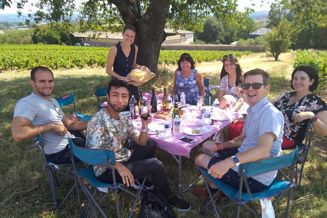 Full-Day Beaujolais Wine Tour - Picnic Lunch Included - Brouilly winery afternoon: a different family style
