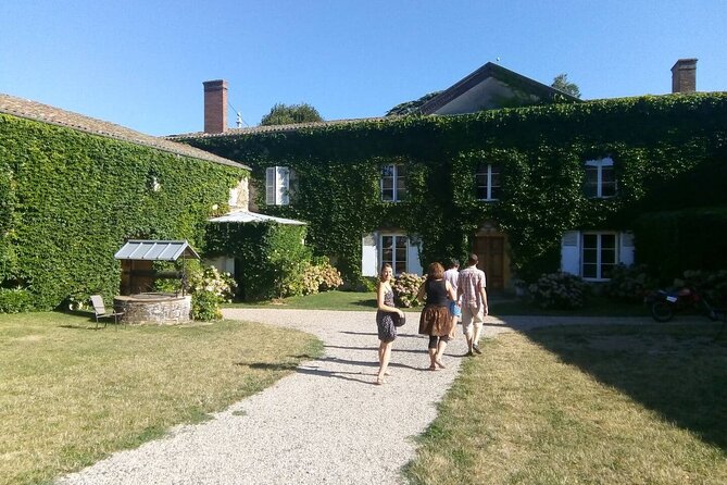 Full-Day Beaujolais Wine Tour - Picnic Lunch Included - Oingt at the end: village charm and panoramic views