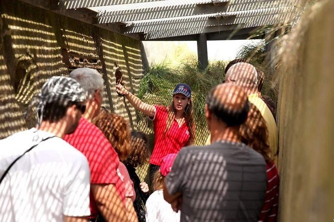 Full-Day Canadian Battlefields & sites Normandy Tour from Bayeux - Why This Juno Beach Tour Feels Built for Canadians (and anyone who cares)