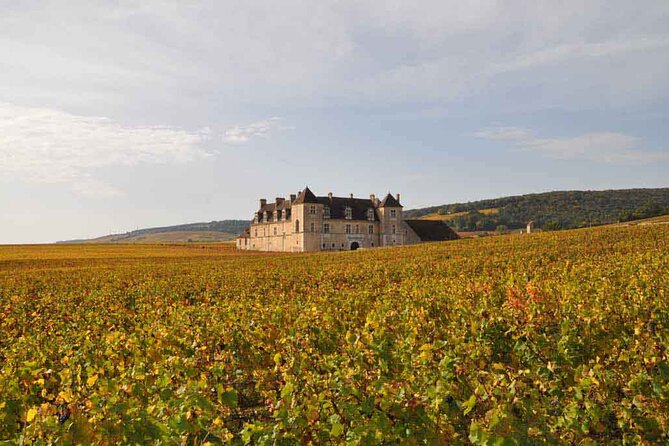 Full Day Private Tour 10 Premiers & Grands Crus, The Best of Burgundy - The guide makes it, and the reviews show a pattern