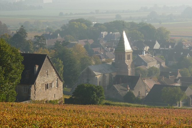 Full Day Private Tour 10 Premiers & Grands Crus, The Best of Burgundy - Logistics in plain terms: time, transport, and tickets