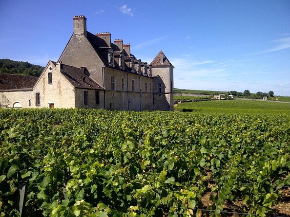 Full-Day Private Tour, 6 Premiers & Grands Crus, The Best of Burgundy - Beaune Pickup and the Grands Crus Wine Road Drive