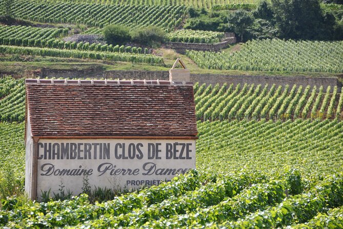 Full-Day Private Tour, 6 Premiers & Grands Crus, The Best of Burgundy - Private Cellar Finale: Behind the Scenes of Burgundy Red Wine