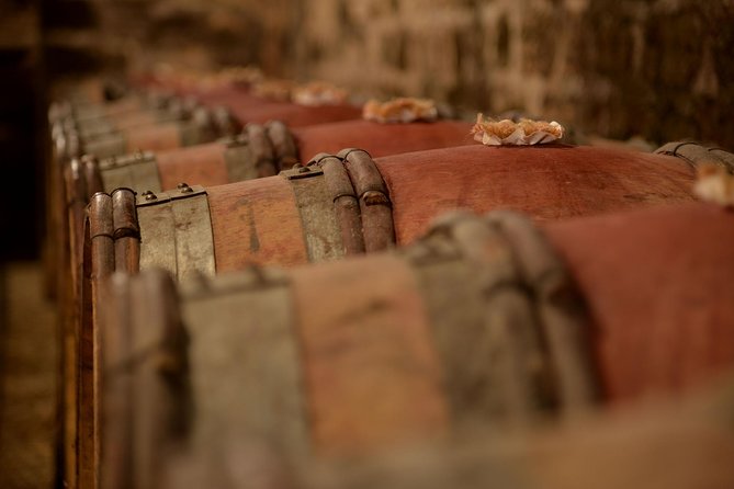 Full-Day Private Tour, 6 Premiers & Grands Crus, The Best of Burgundy - Terroir, Classification, and Tastings That Actually Teach