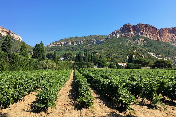 Full-day Wine Tour around Bandol & Cassis from Marseille - A Cassis Vineyard Tasting With Coastal Flavor Focus