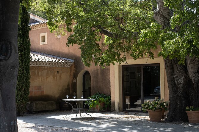 Full-day Wine Tour around Bandol & Cassis from Marseille - Cap Canaille Photo Stop, Then Back to Marseille