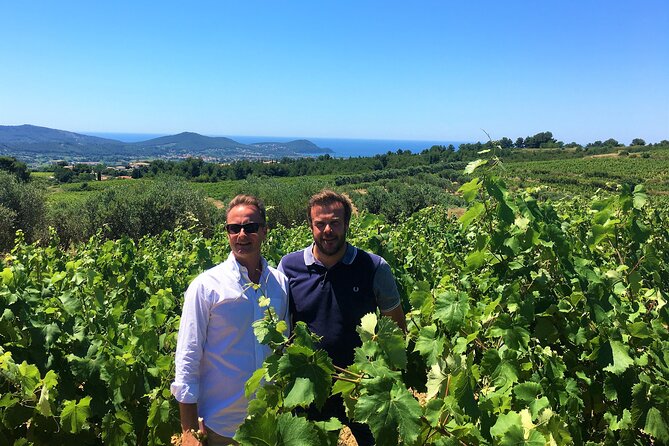 Full-day Wine Tour around Bandol & Cassis from Marseille - Price, What You Get, and Where You Spend Extra