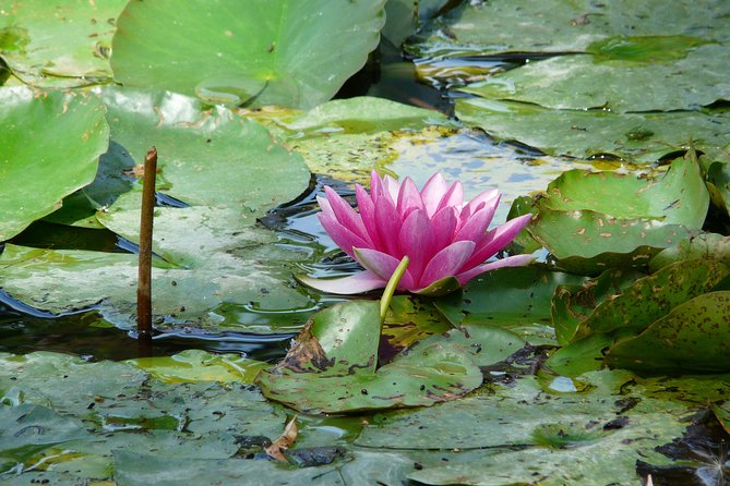 Giverny & Monet's House Audio Guided Half-day Tour from Paris - The drive through Eure countryside: plan for traffic and time shifts