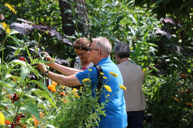 Giverny's House & Gardens plus Versailles Palace Day Trip with Lunch from Paris - Versailles Palace guided tour: Hall of Mirrors with context