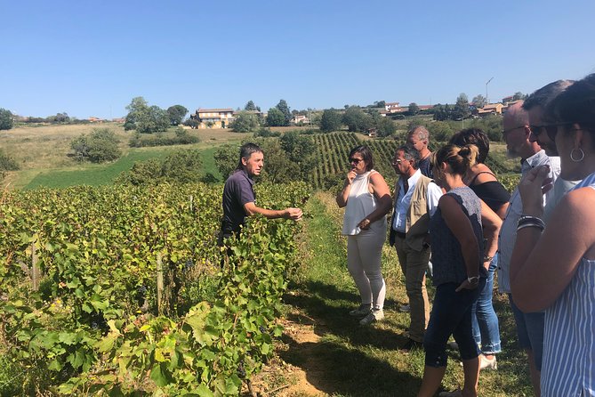 Golden stones Beaujolais Wine Tour with Tastings from Lyon - Oingt’s medieval walk and the golden stone effect