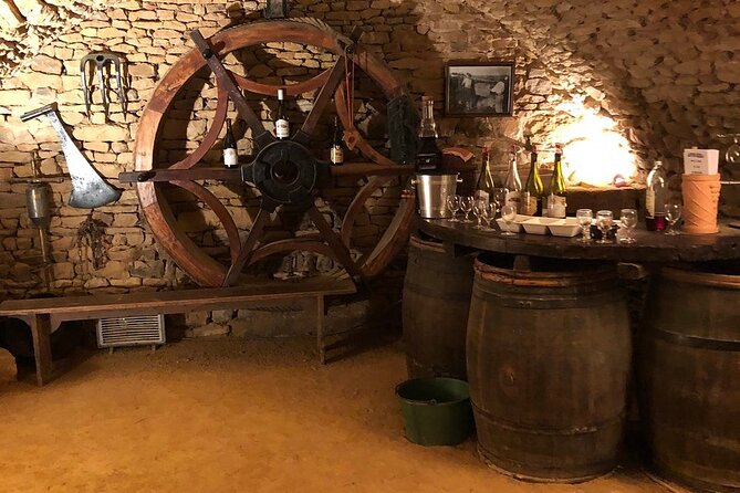 Golden stones Beaujolais Wine Tour with Tastings from Lyon - Weather, timing, and comfort for a smooth afternoon