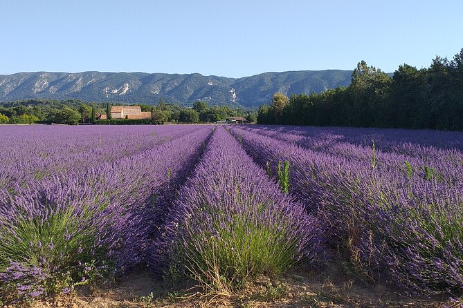 Gordes, Roussillon(+ Ochre Trail) & Fontaine de Vaucluse - Pacing, Group Size, and How Florine Keeps It From Feeling Rushed