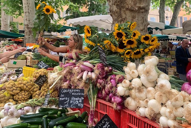 Gourmet & Cultural Tour Aix En Provence English / Espanol - Hotel de Caumont Art Centre: The Most Peaceful Stop in the Plan