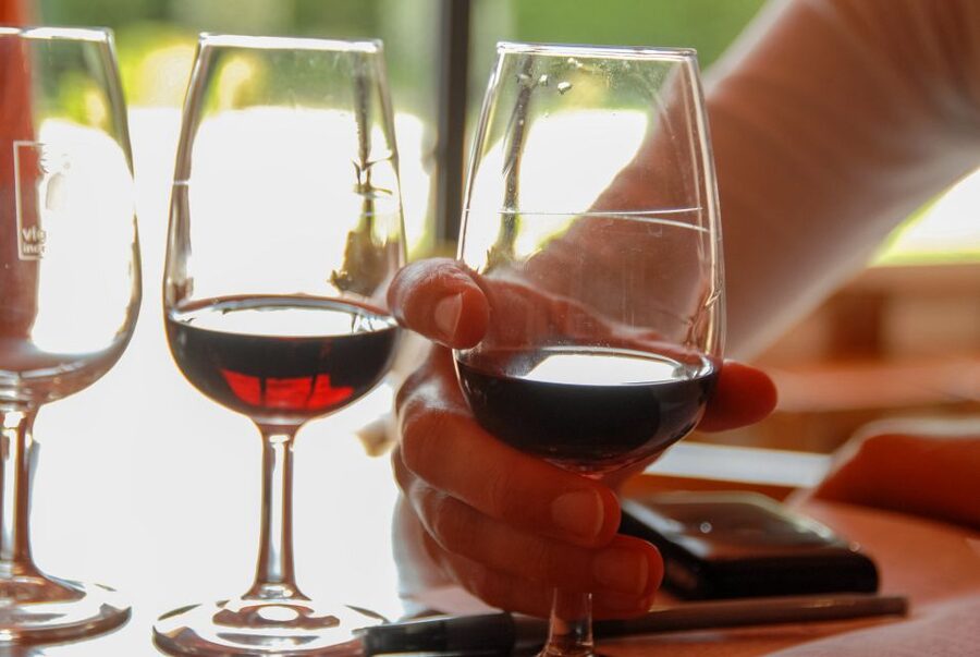 Grasse, Valbonne & Gourdon: Day Tour with Wine Tasting - Who should book this Grasse, Valbonne, and Gourdon tour?