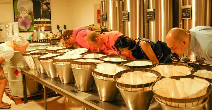 Grasse, Valbonne & Gourdon: Day Tour with Wine Tasting - Perfume capital Grasse and the Fragonard factory experience