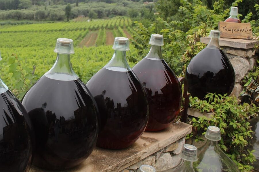 Grasse, Valbonne & Gourdon: Day Tour with Wine Tasting - The full 8-hour flow, from pickups to drop-offs