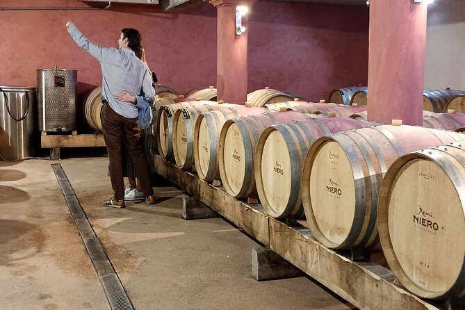 Guided Day Tour and Wine Tasting Northern Rhône Valley - Tain-l’Hermitage viewpoints and the short pause that matters