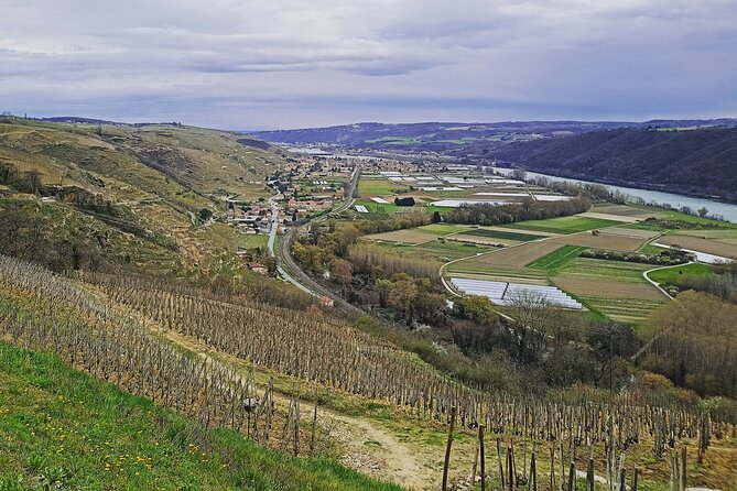 Guided Day Tour and Wine Tasting Northern Rhône Valley - Two winery stops near Tain-l’Hermitage: compare styles like a pro
