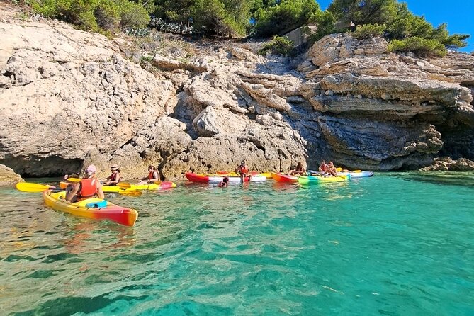 Guided kayak excursion in creeks - Equipment included, plus the useful add-ons