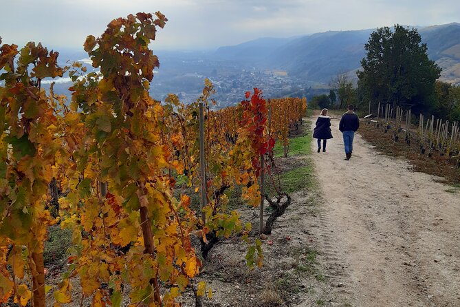 Guided tour and wine tasting Northern Rhône Valley - Key highlights worth caring about